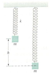1444_A block is hung from a vertical spring.png